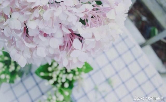 微信朋友圈最走心的爱情语录短句网络很流行很火！