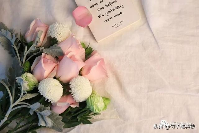 Soul恋恋72小时像极了爱情的样子！