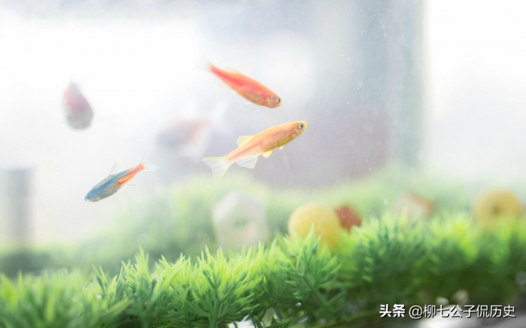 在微信里谈情说爱你仿佛看到了爱情最初的样子纯粹又美好！